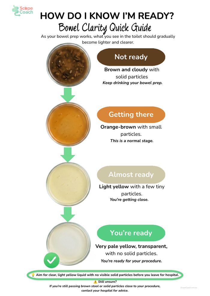 Bowel Clarity Guide preview